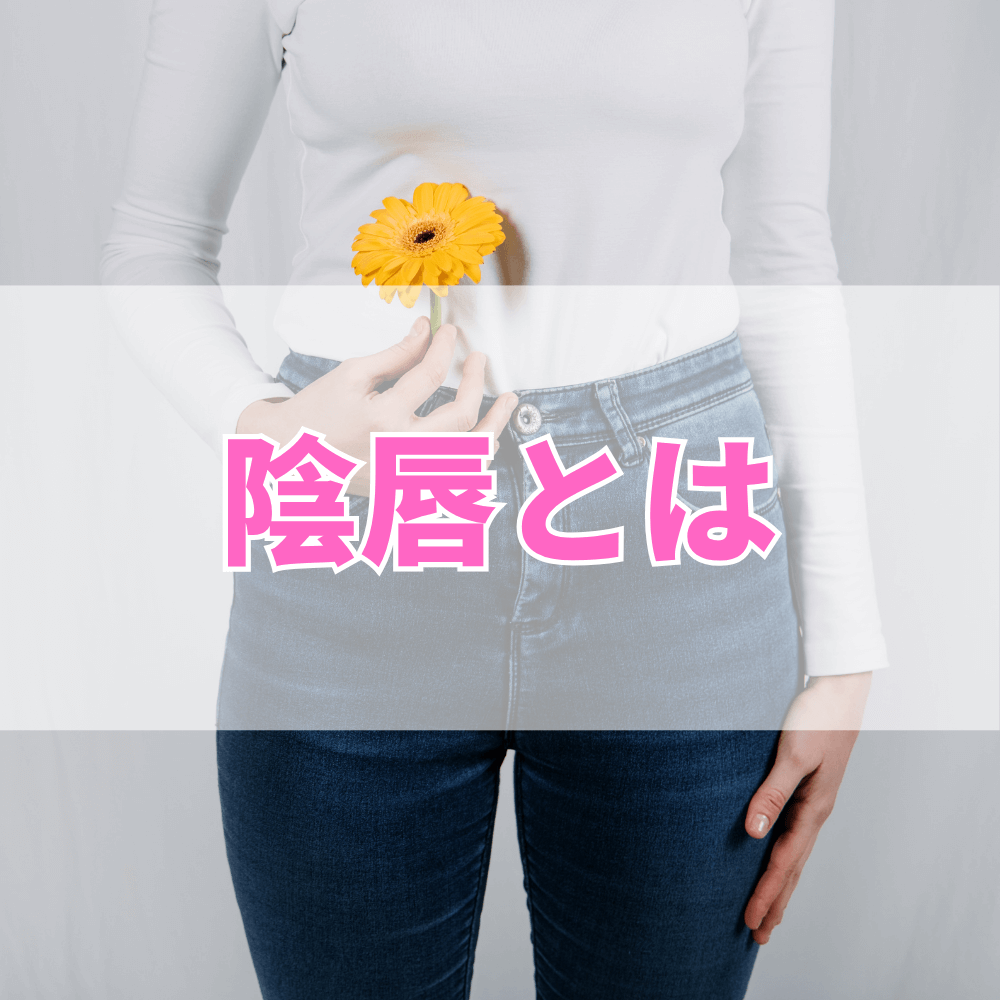 陰唇（いんしん）とは