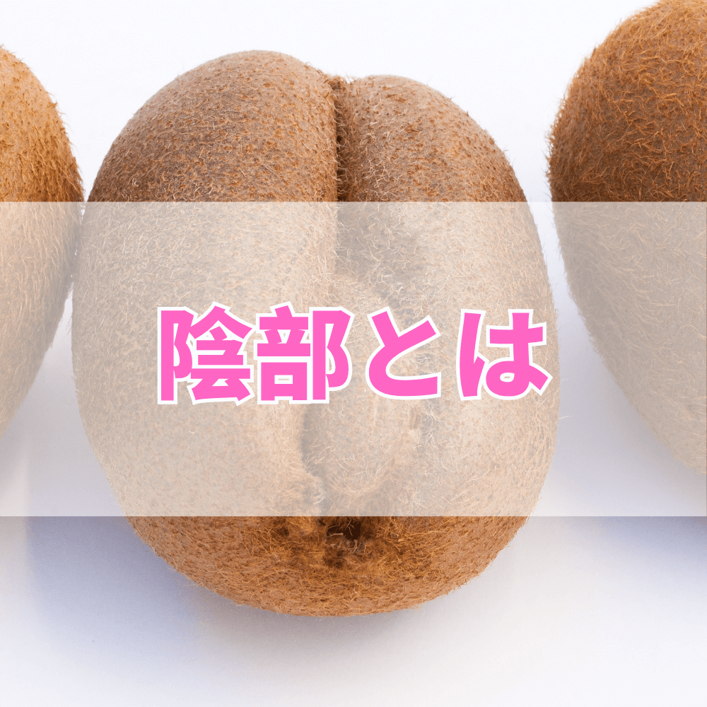 陰部（いんぶ）とは