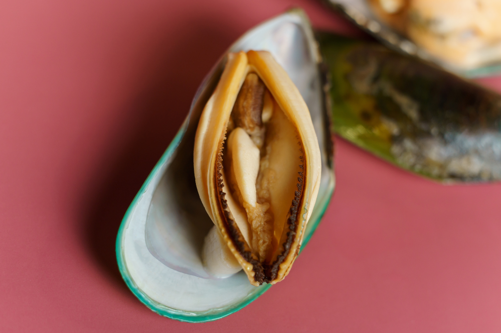 陰唇（いんしん）とは