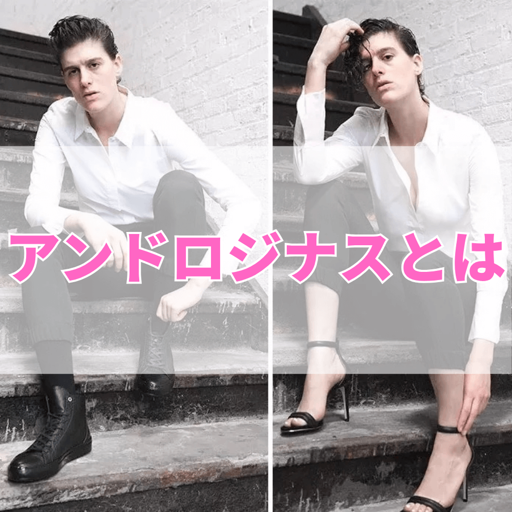 アンドロジナス（あんどろじなす）とは