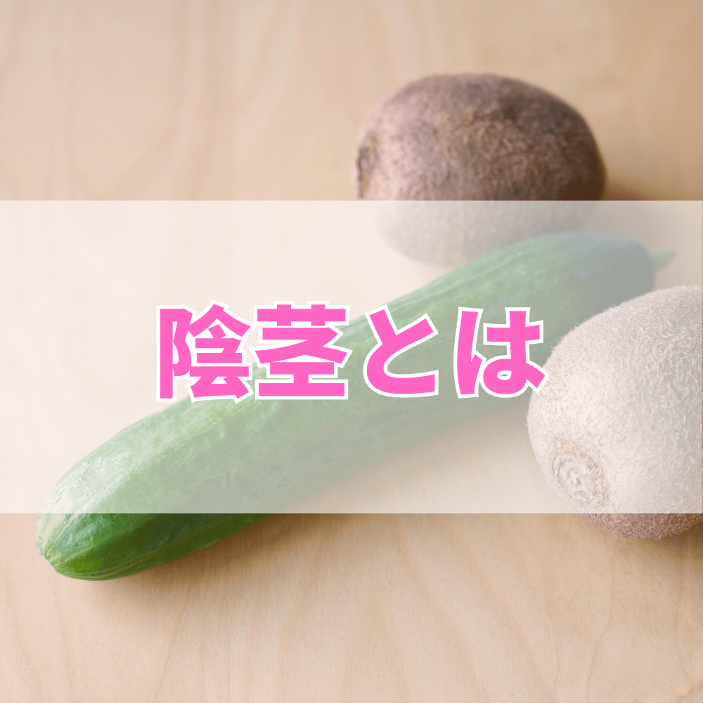 陰茎（いんけい）とは