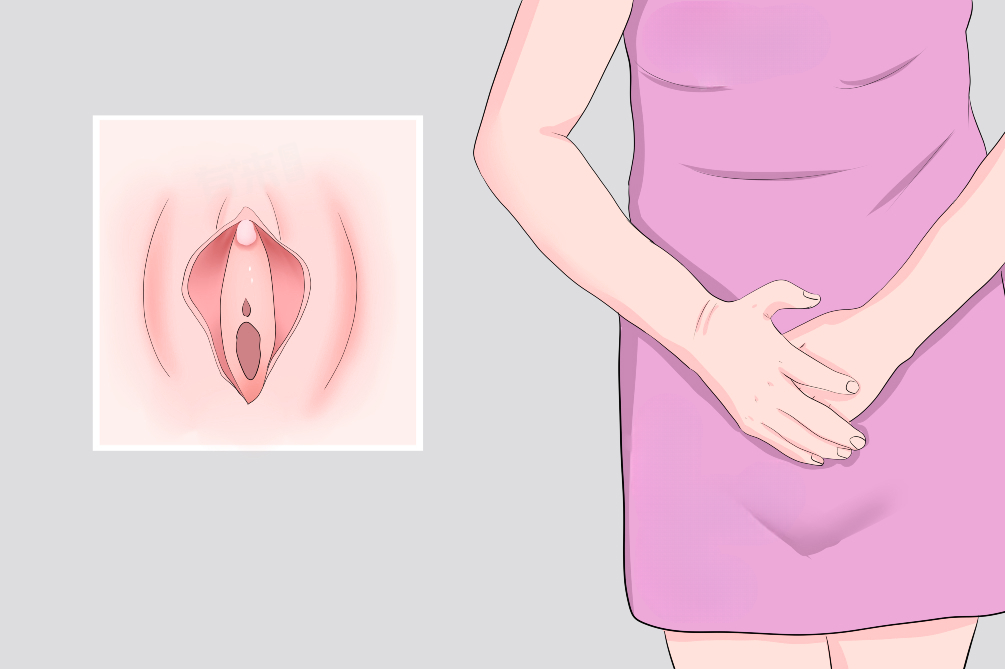 陰核（いんかく）とは