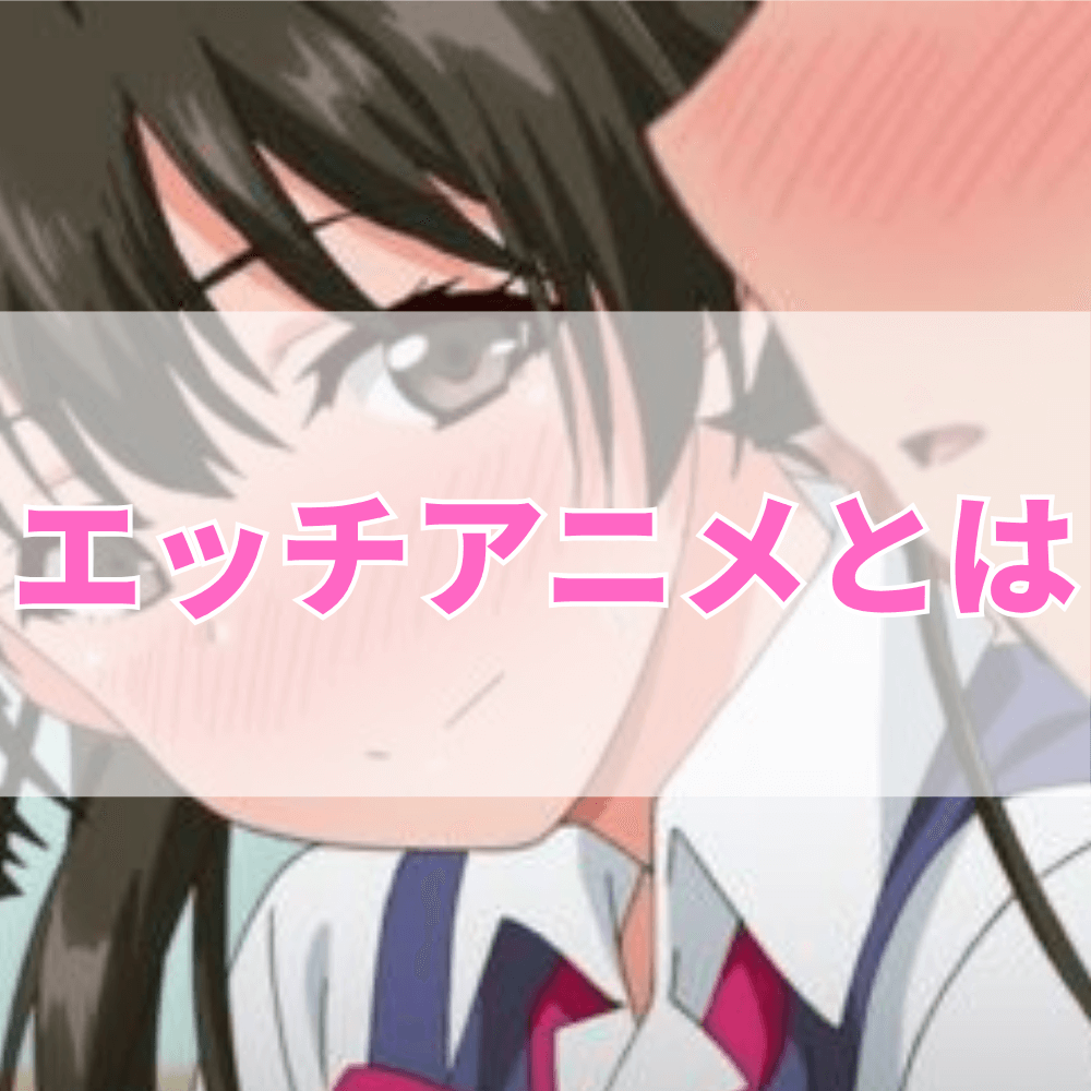 エッチアニメ（えっちあにめ）とは