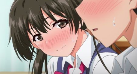 エッチアニメ（えっちあにめ）とは