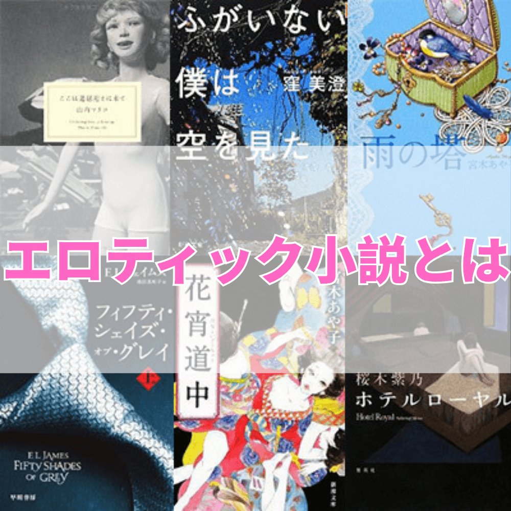 エロティック小説（えろてぃっくしょうせつ）とは