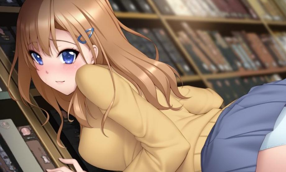 エロゲー（えろげー）とは