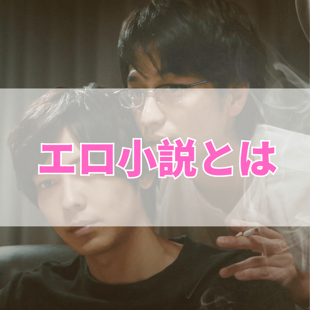 エロ小説（えろしょうせつ）とは