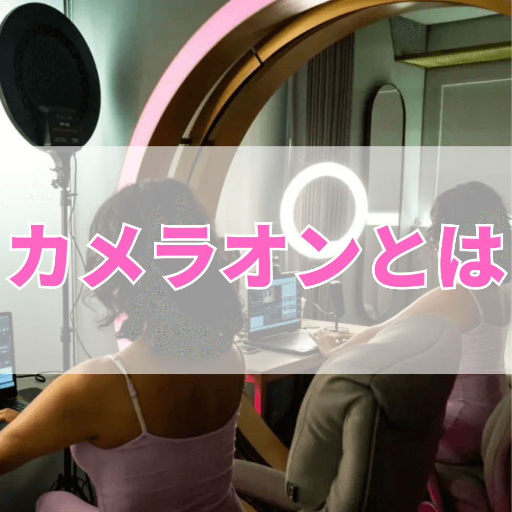 カメラオン（かめらおん）とは