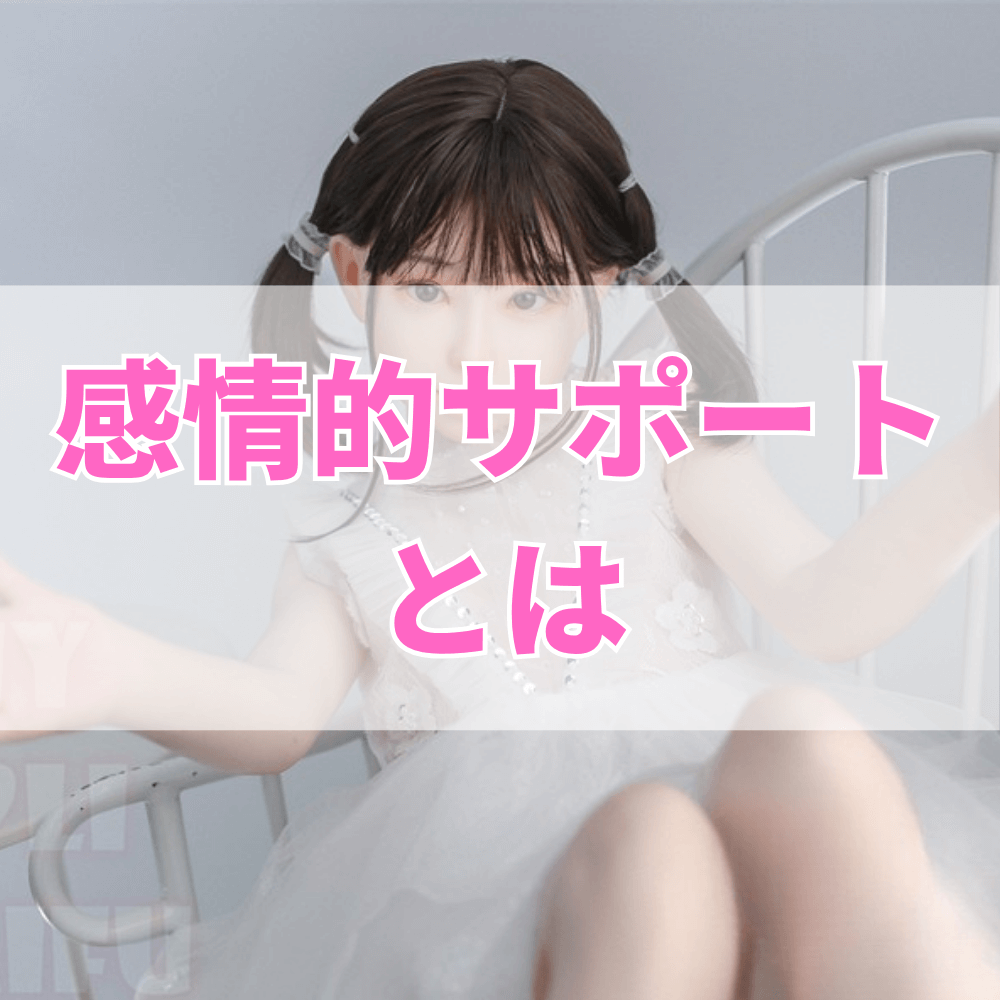 感情的サポート（かんじょうてきさぽーと）とは