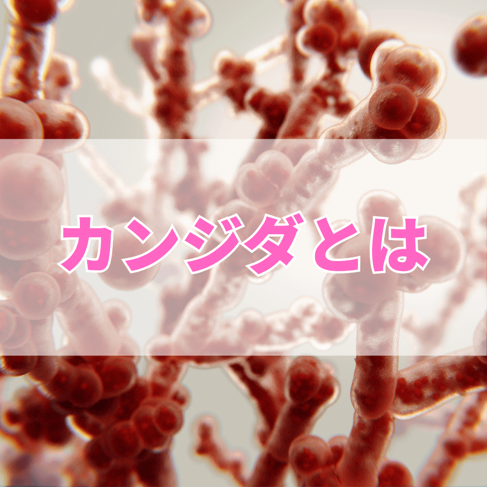 カンジダ（かんじだ）とは