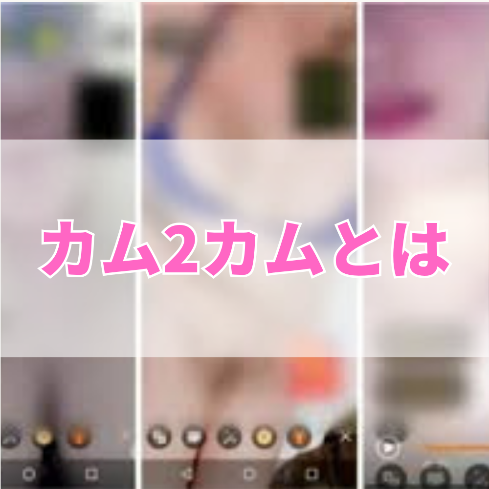 カム2カム（かむつーかむ）とは