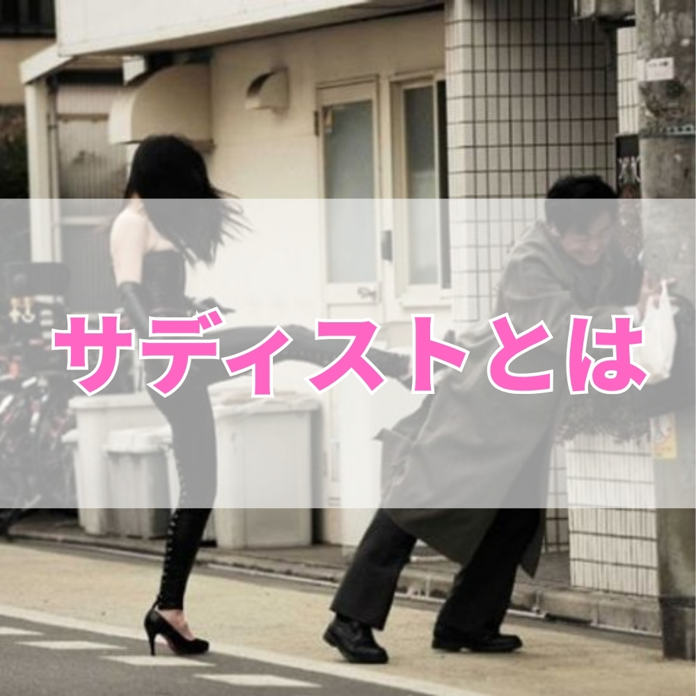 サディスト（さでぃすと）とは