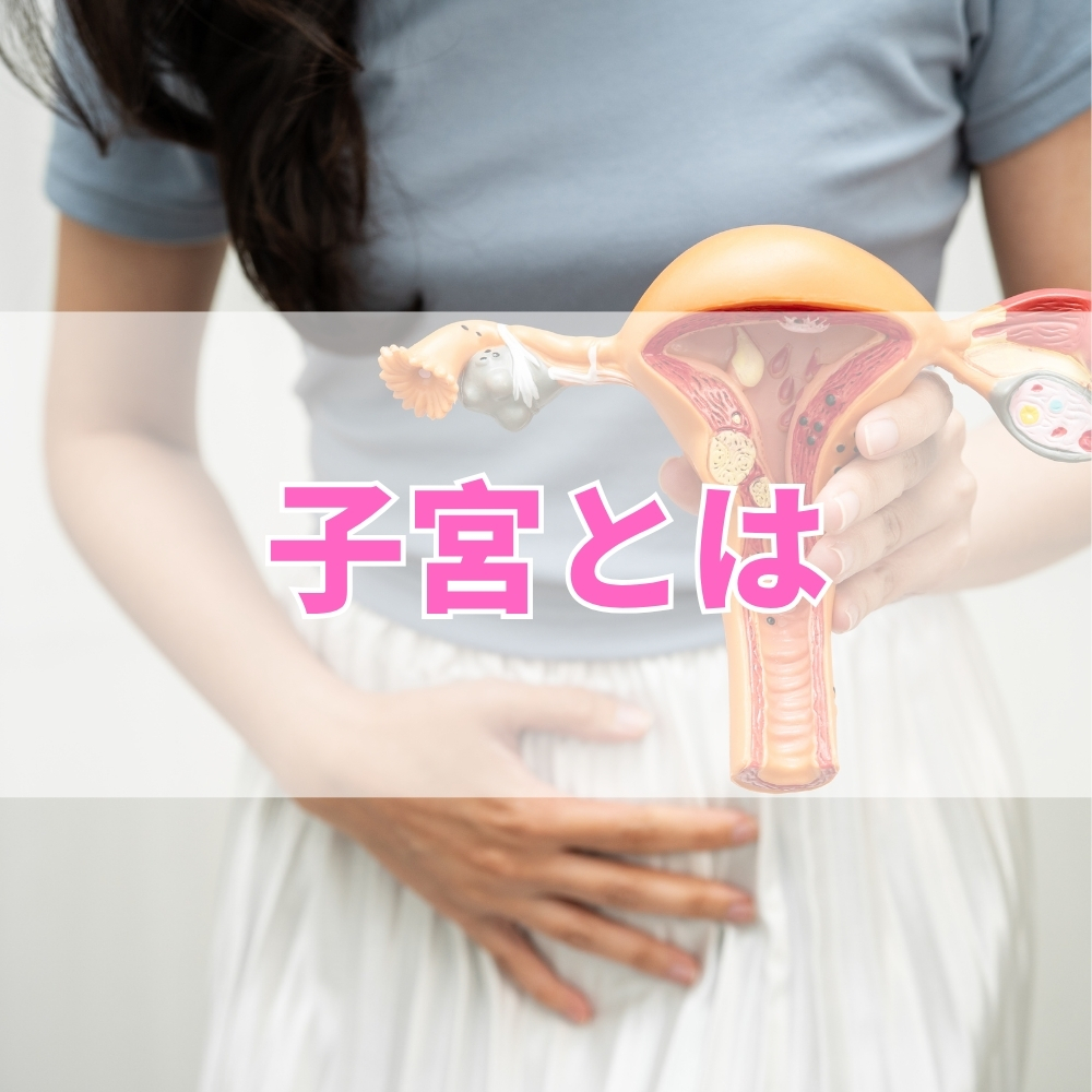 子宮（しきゅう）とは