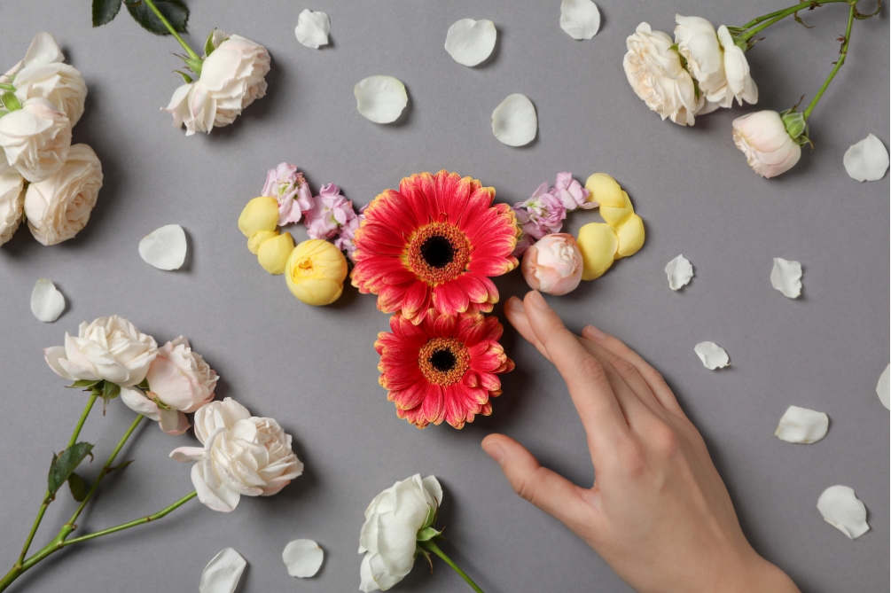 子宮（しきゅう）とは