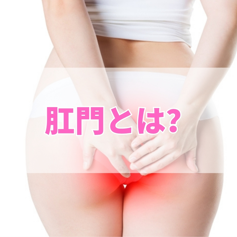 肛門（こうもん）とは