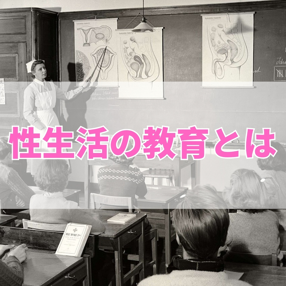 性生活の教育（せいかつのきょういく）とは