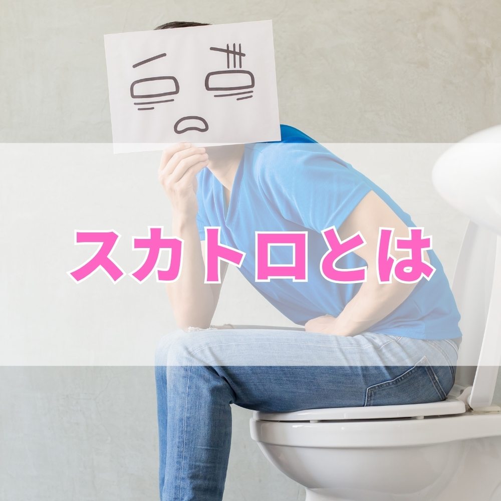 スカトロ（すかとろ）とは