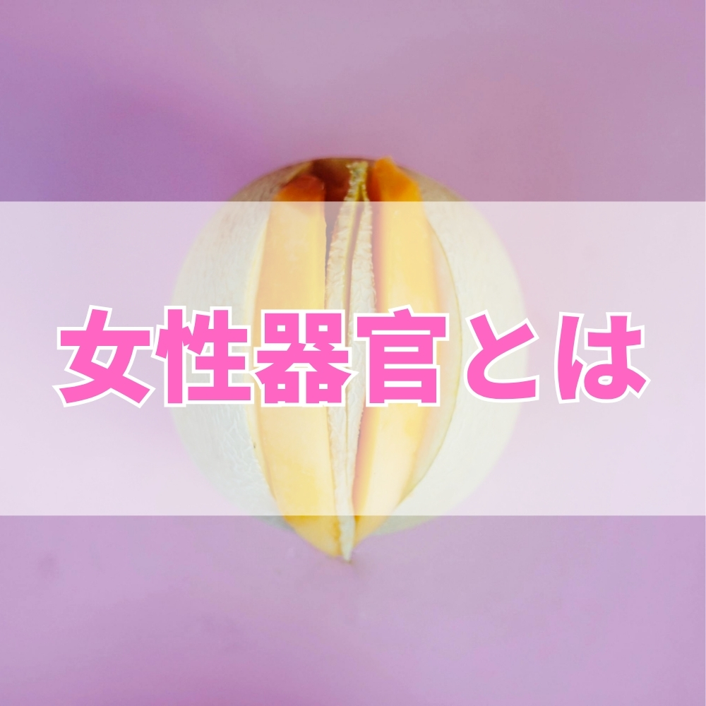 女性器官（じょせいきかん）とは