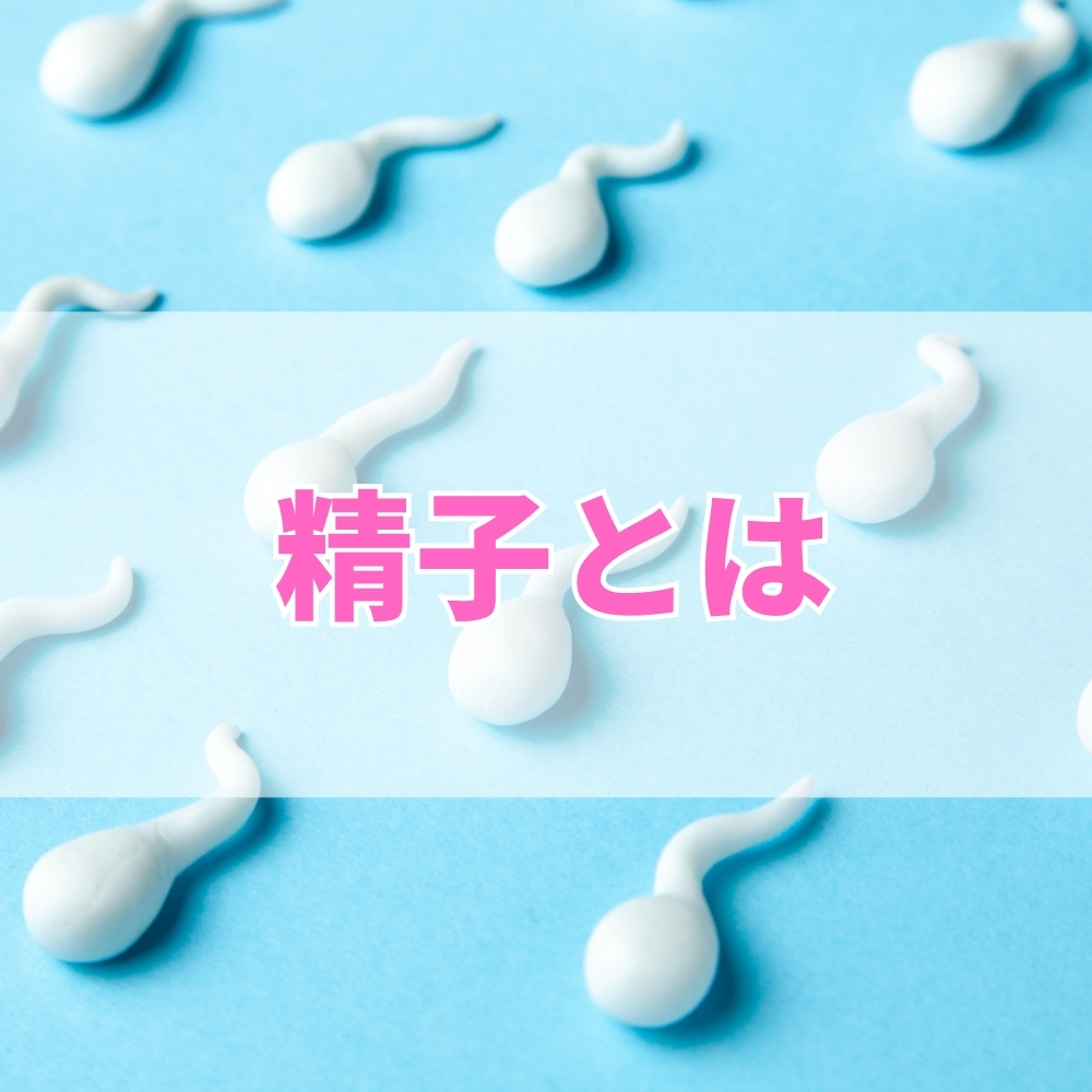 精子（せいし）とは