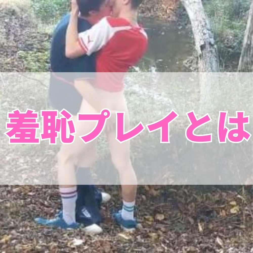 羞恥プレイ（しゅうちぷれい）とは