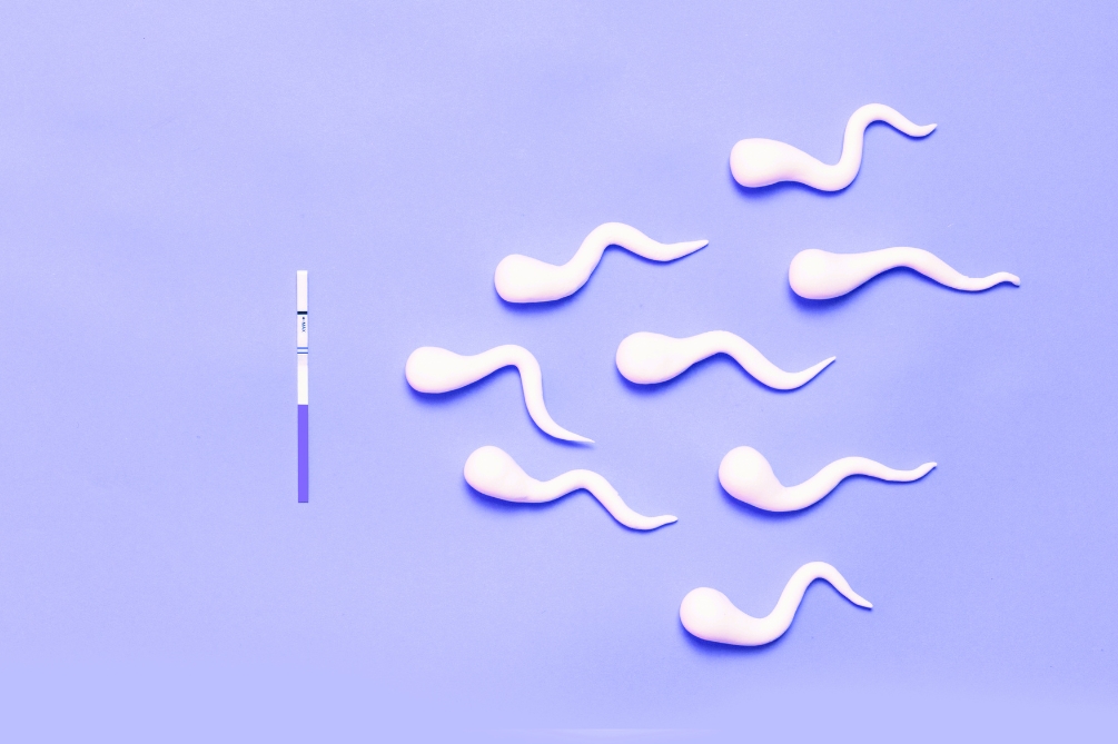 精子（せいし）とは