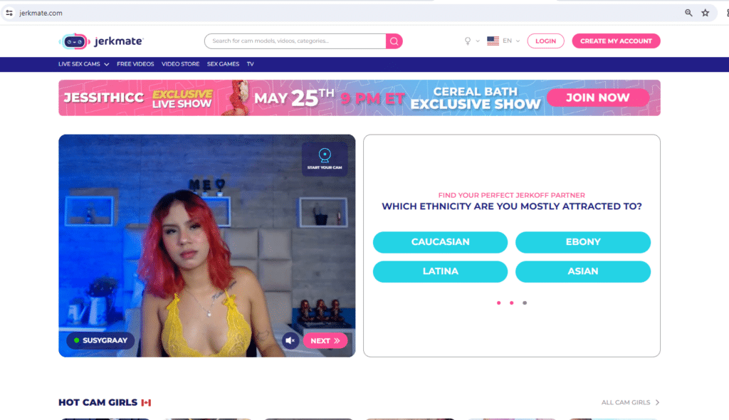 セックスチャット（せっくすちゃっと）とは