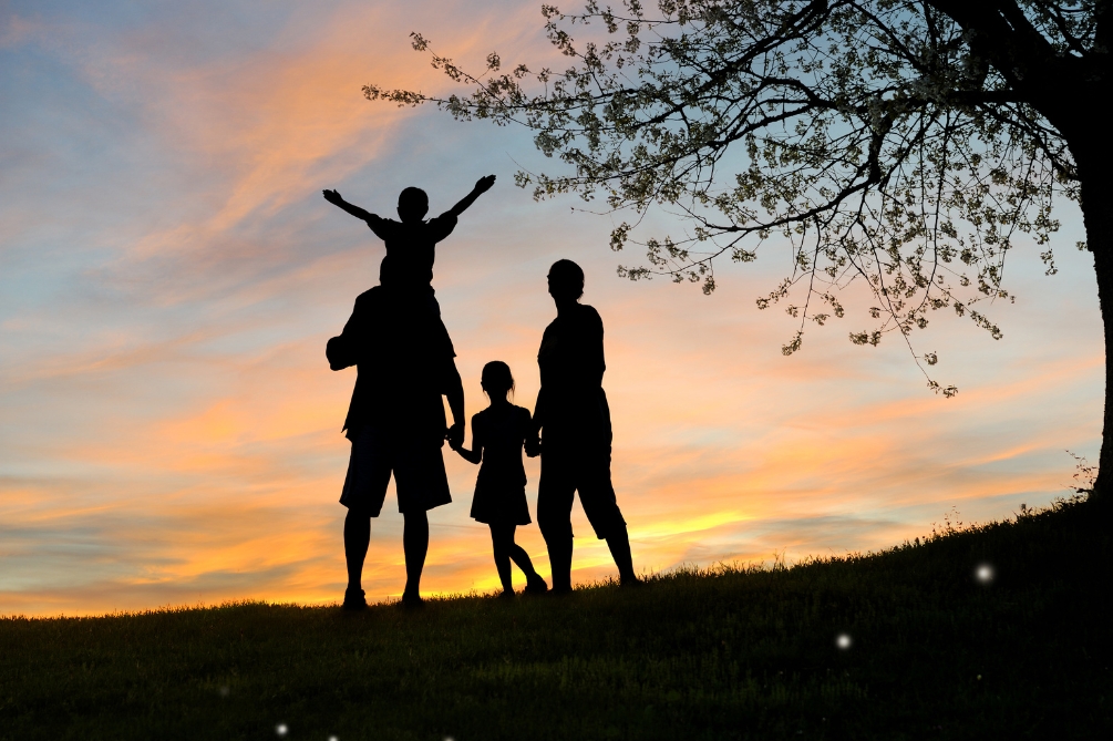 セクシャルウェルネス（せくしゃるうぇるねす）とは