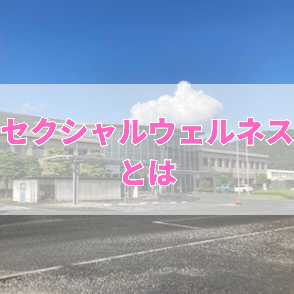セクシャルウェルネス（せくしゃるうぇるねす）とは
