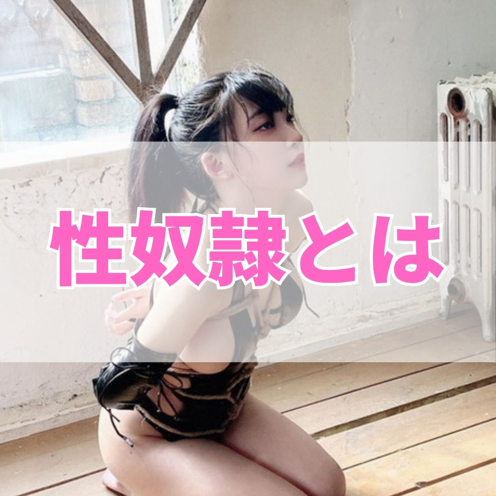 性奴隷（せいどれい）とは