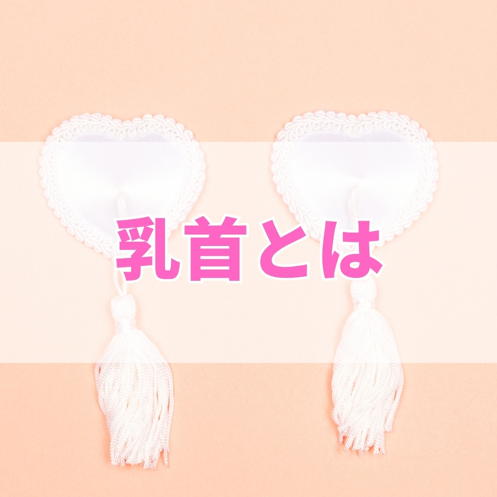 乳首（ちくび）とは