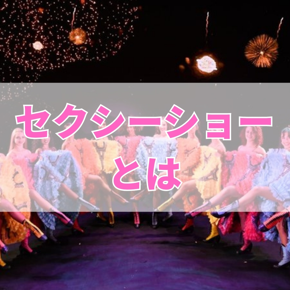 セクシーショー（せくしーしょー）とは