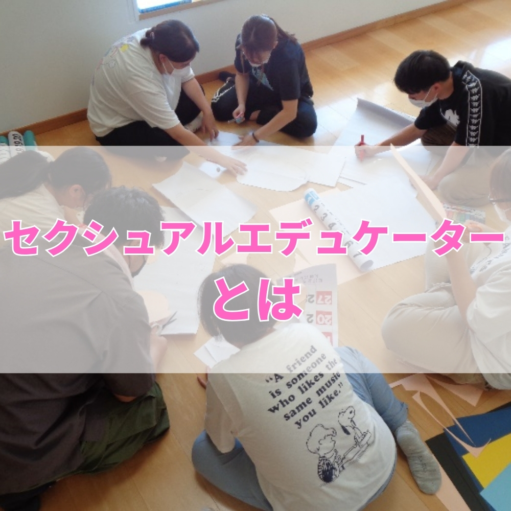セクシュアルエデュケーター（せくしゅあるえでゅけーたー）とは