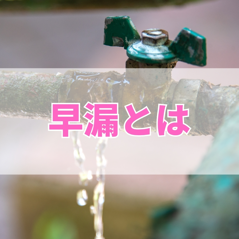 早漏（そうろう）とは