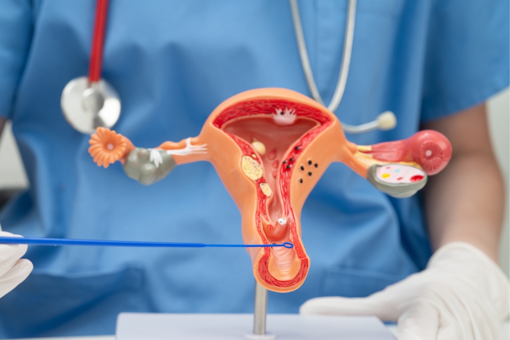 膣（ちつ）とは