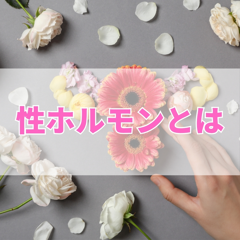 性ホルモン（せいほるもん）とは
