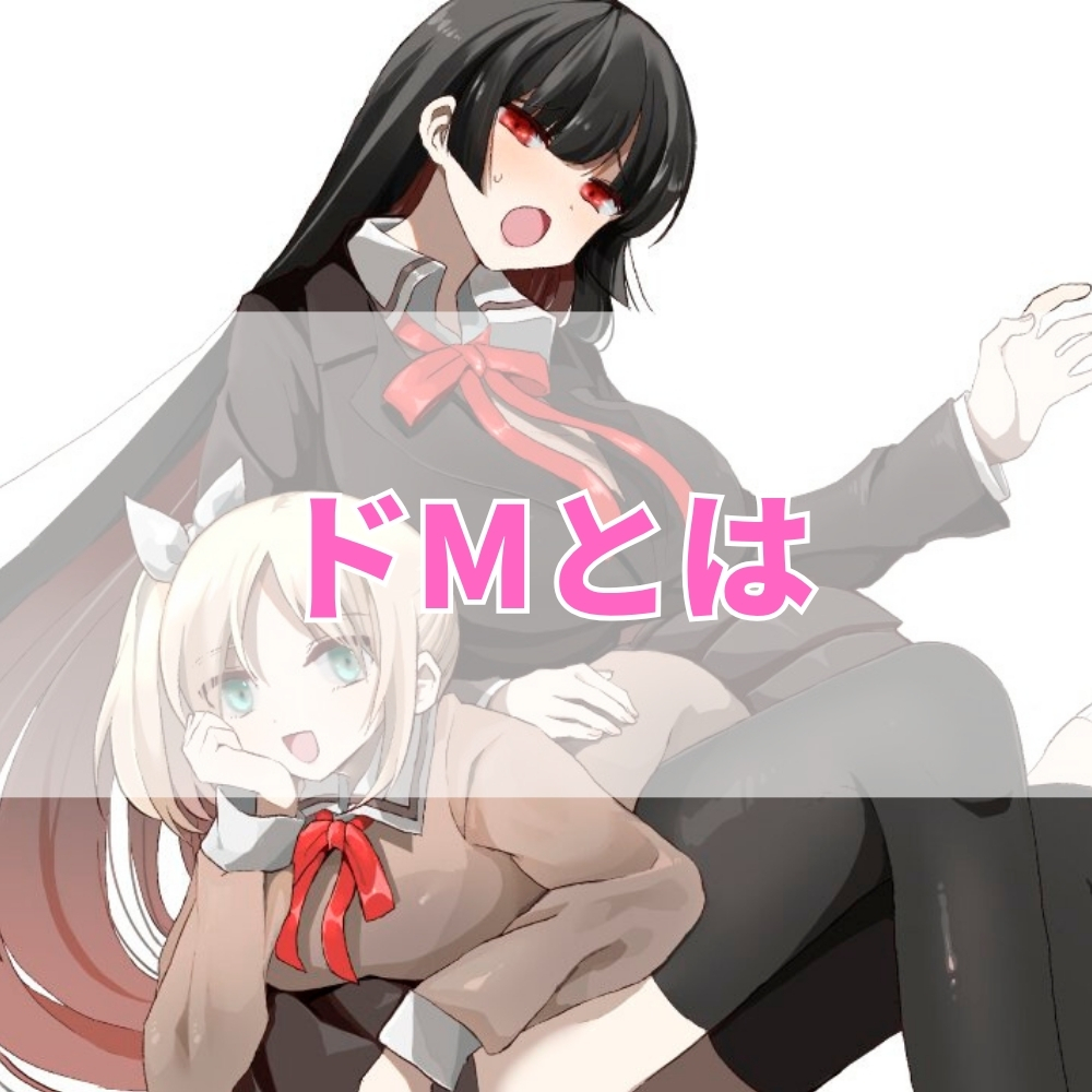ドM（どえむ）とは