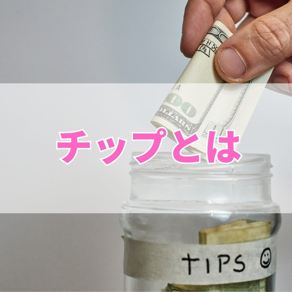 チップ（ちっぷ）とは