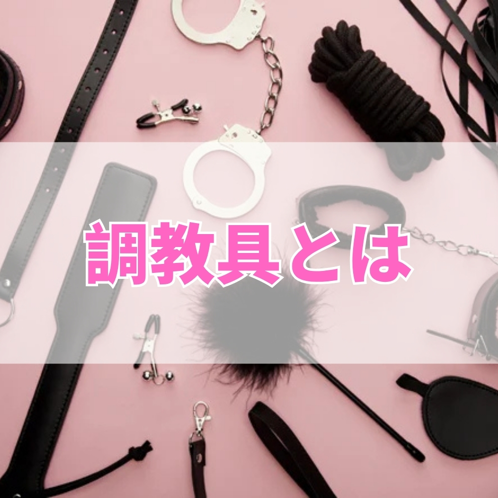 調教具（ちょうきょうぐ）とは