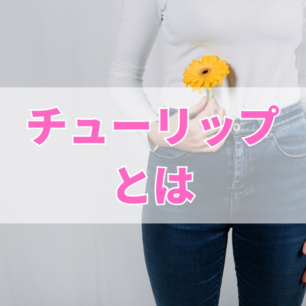 チューリップ（ちゅーりっぷ）とは