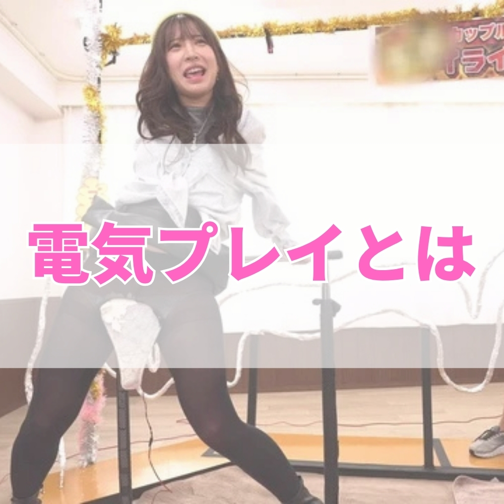 電気プレイ（でんきぷれい）とは