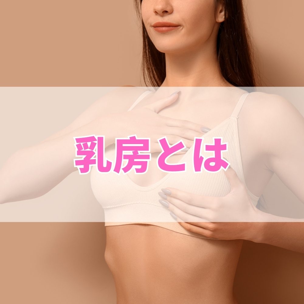 乳房（にゅうぼう）とは