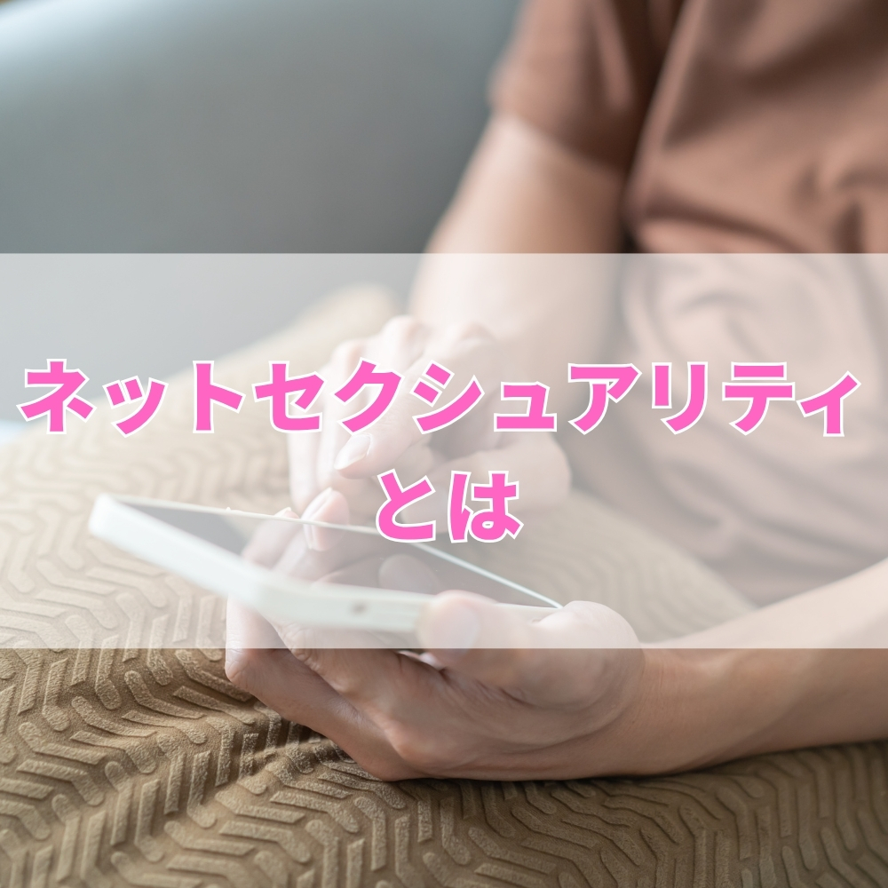 ネットセクシュアリティ（ねっとせくしゅありてぃ）とは