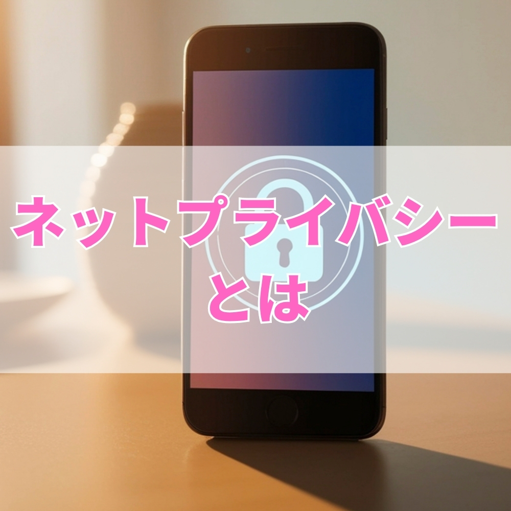 ネットプライバシー（ねっとぷらいばしー）とは