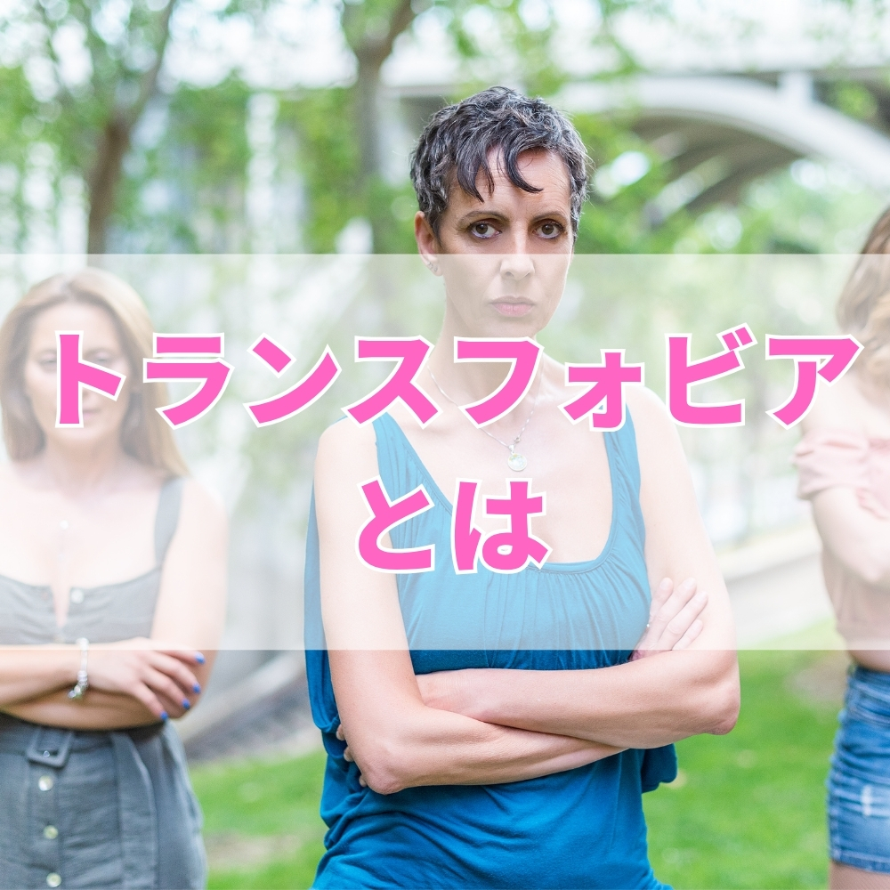 トランスフォビア（とらんすふぉびあ）とは