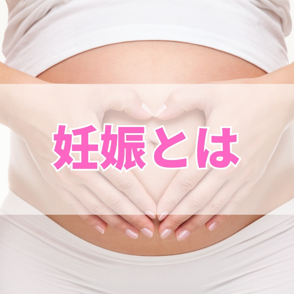 妊娠（にんしん）とは
