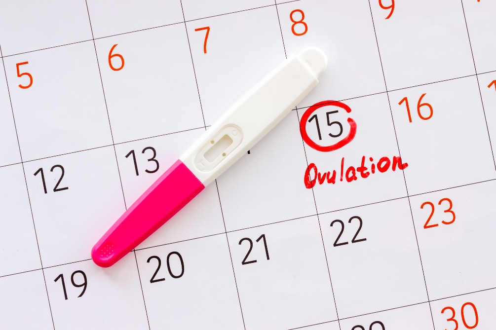 排卵（はいらん）とは