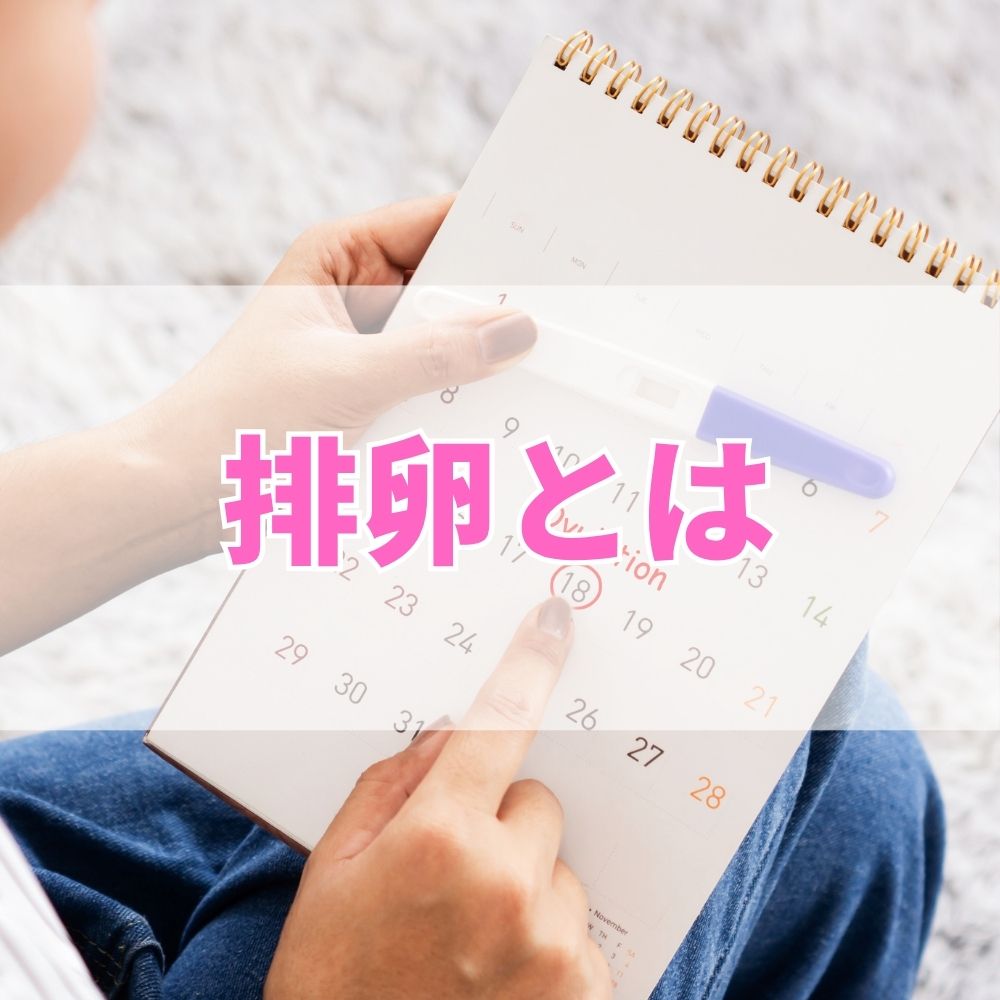 排卵（はいらん）とは