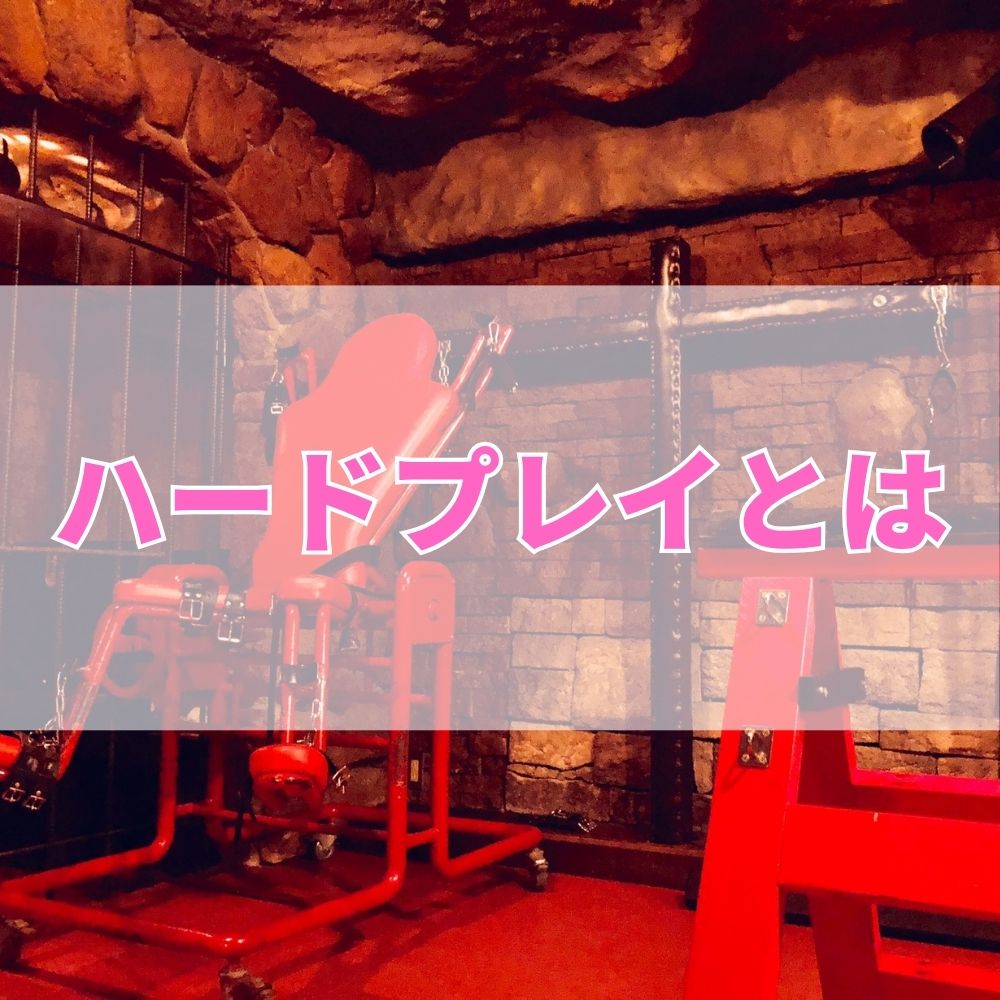 ハードプレイ（はーどぷれい）とは