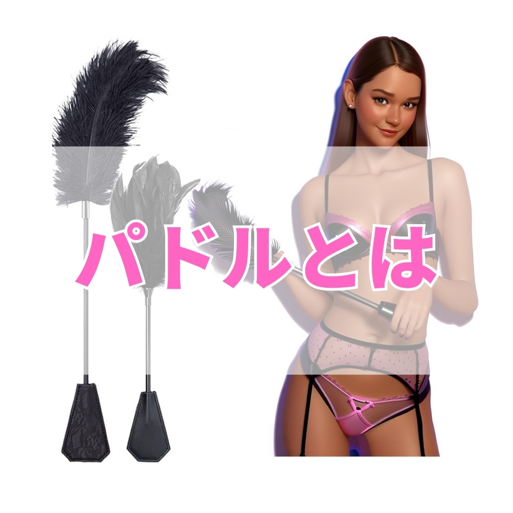 パドル（ぱどる）とは