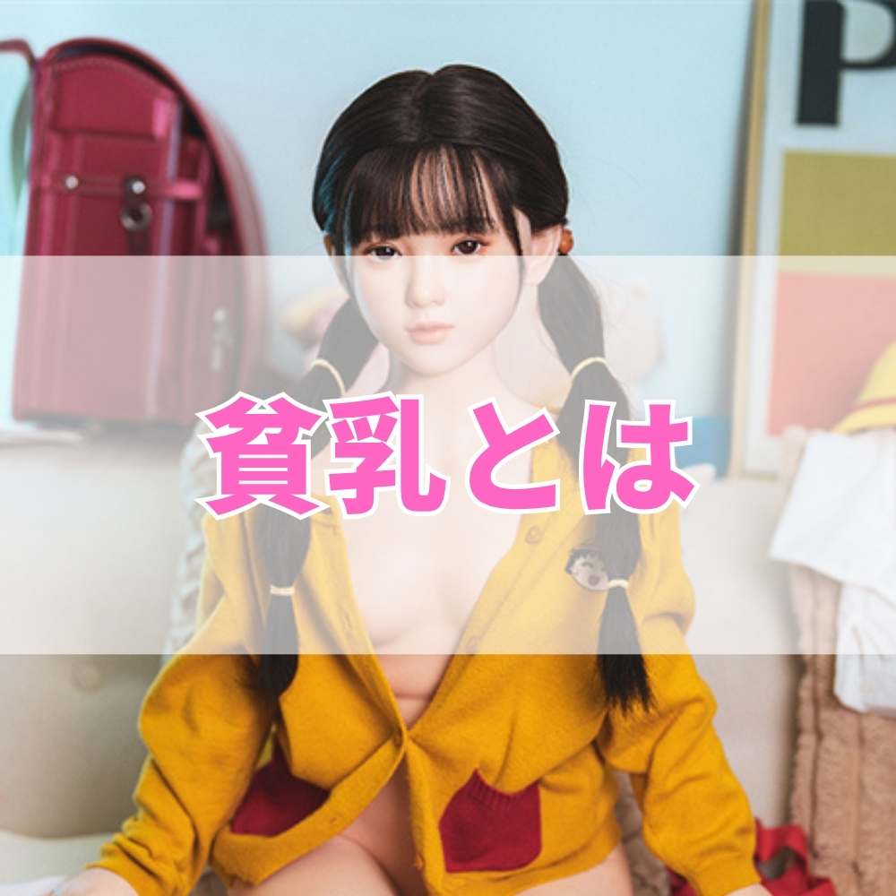 貧乳（ひんにゅう）とは